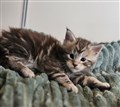 20251007_104101.jpg